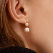 Ruifier 18ct yellow gold Astra Moonlight Akoya Pearl Earrings (pair)